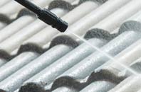 rated Poulner roof cleaning companies